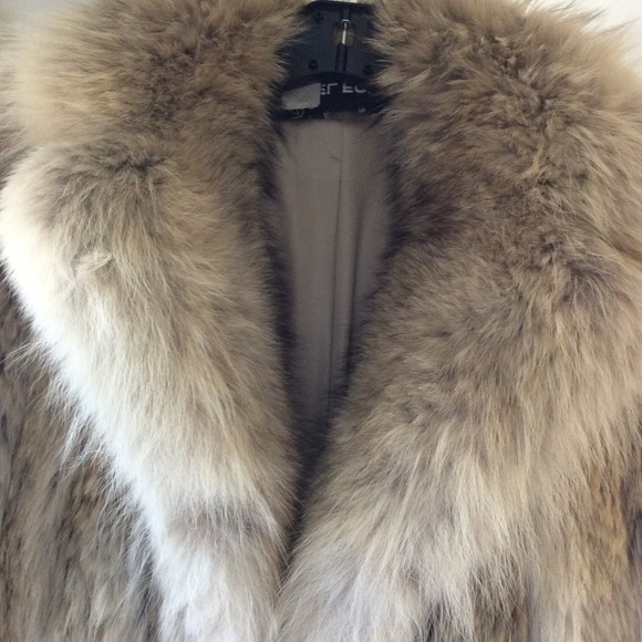 Coyote Fur - Full Length Coat - Picture 10 of 16